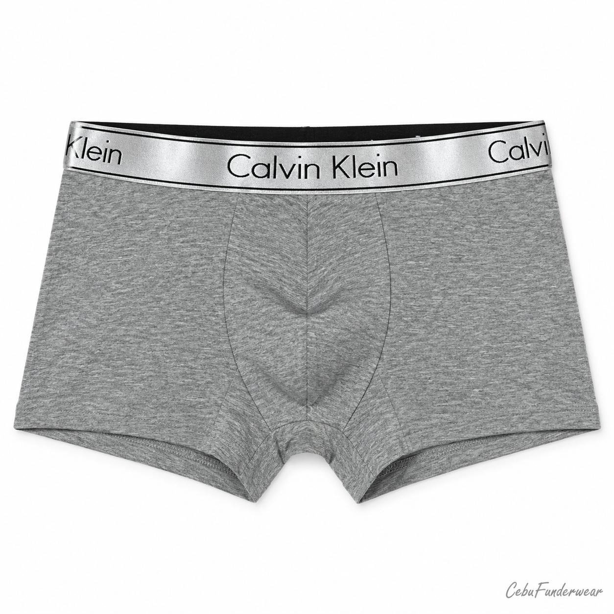 Silver Band boxer briefs in Grey